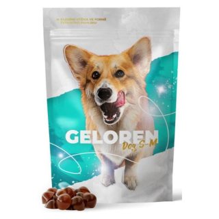 Geloren DOG Small dogs